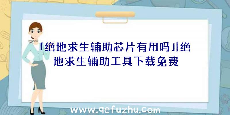 「绝地求生辅助芯片有用吗」|绝地求生辅助工具下载免费